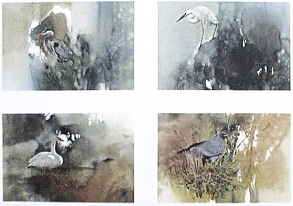 "Birds Of The Fresh Water Marsh" suite of 4