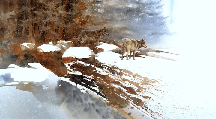 "Challenge Of The Wild" Wolves