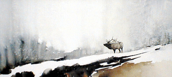 "Early Morning Challenge" Elk