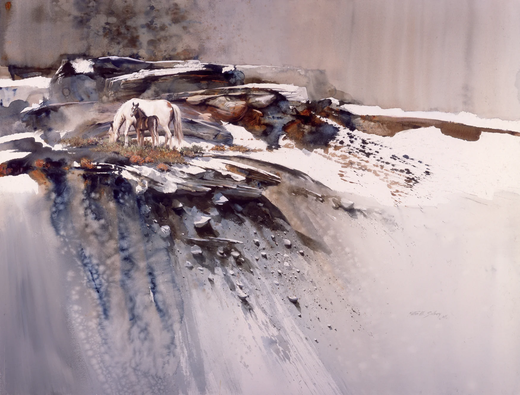 "Early Snow" Pinto Horses