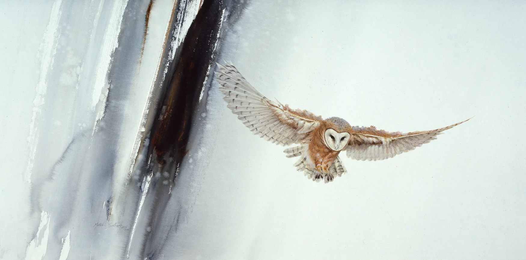 "Edge Of Night" Barn Owl