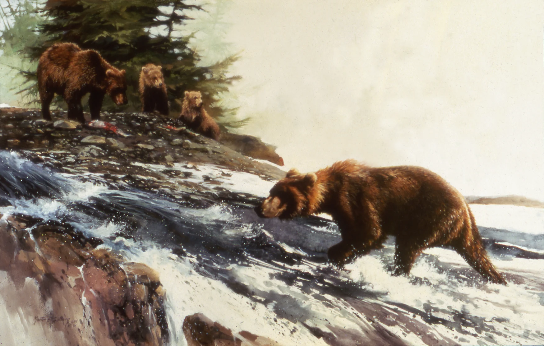 "Fishing Near Kamishak Bay" Brown Bears