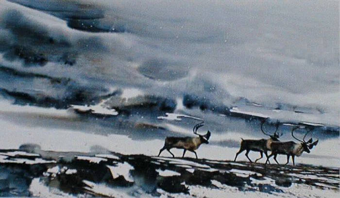 "Into The Storm"   Caribou