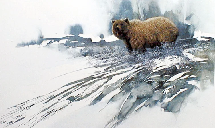 "Morning Frost" Grizzly Bear