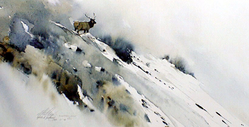 "Sunlit Mist Elk"