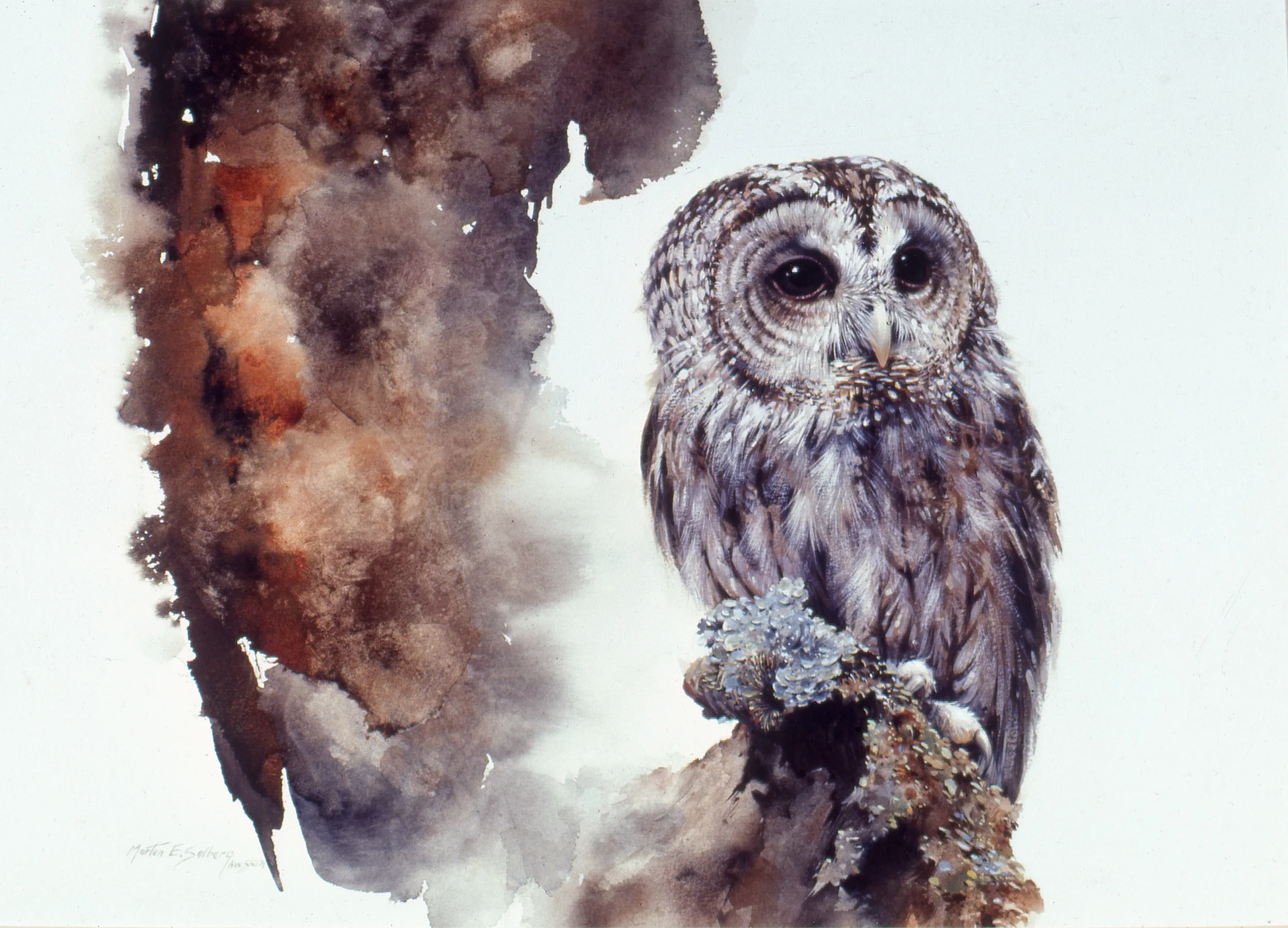 "Tawny" Tawny Owl
