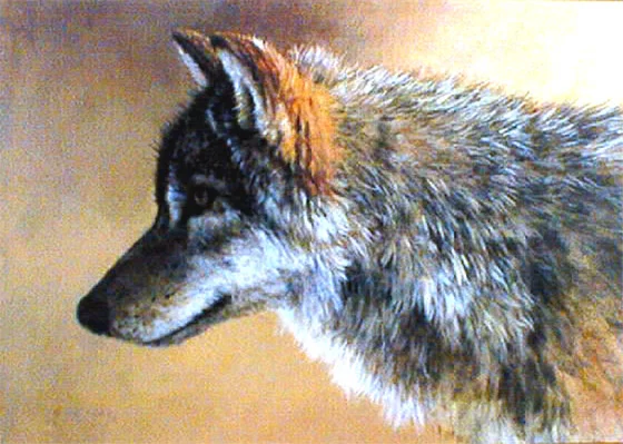 "Timber Wolf Profile"