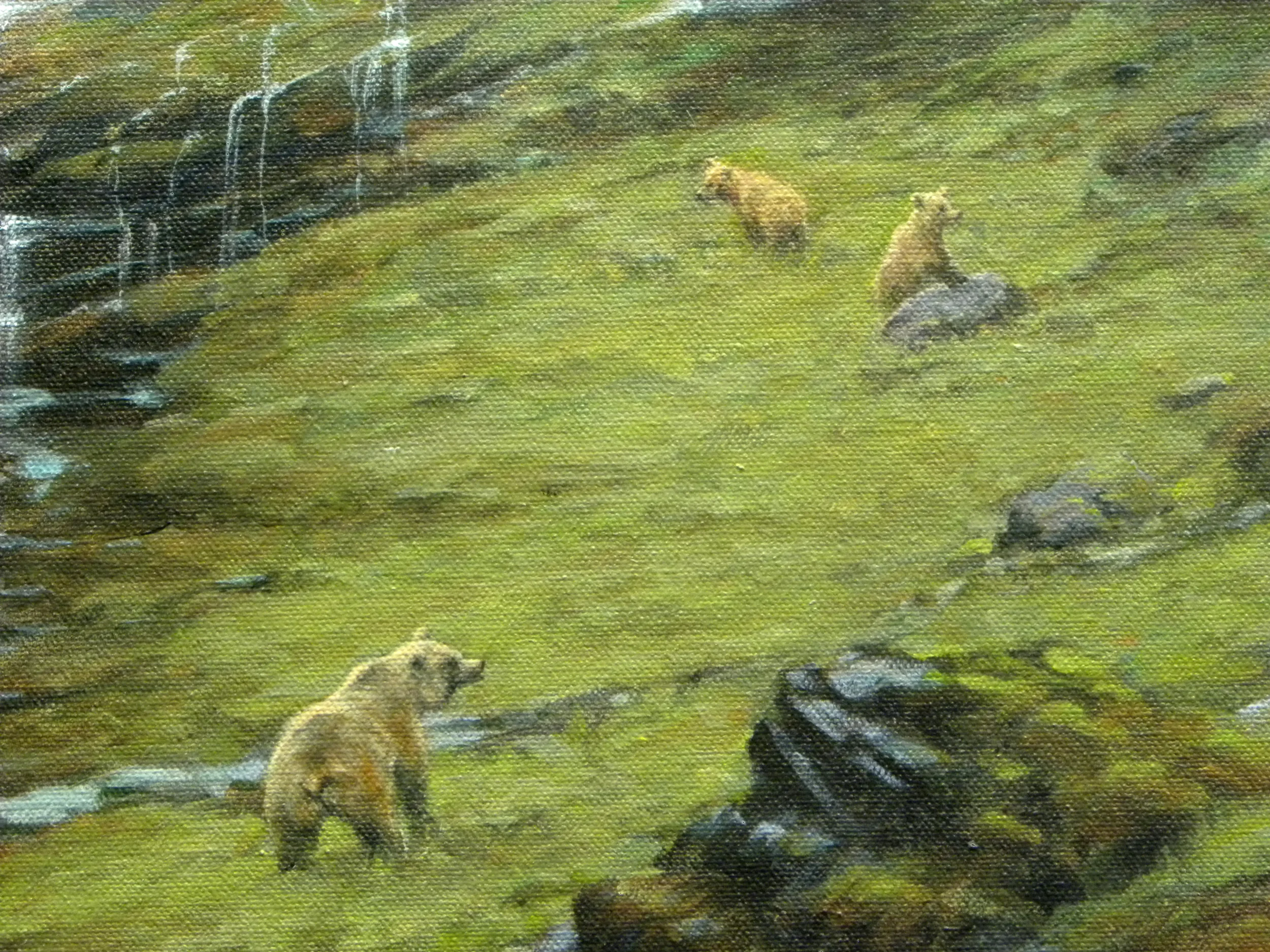 Close Up.jpg