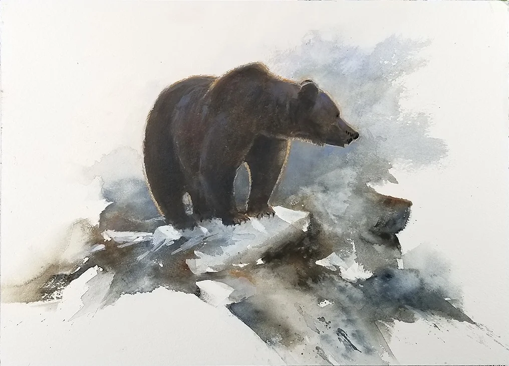 Grizzly Bear 125.jpg