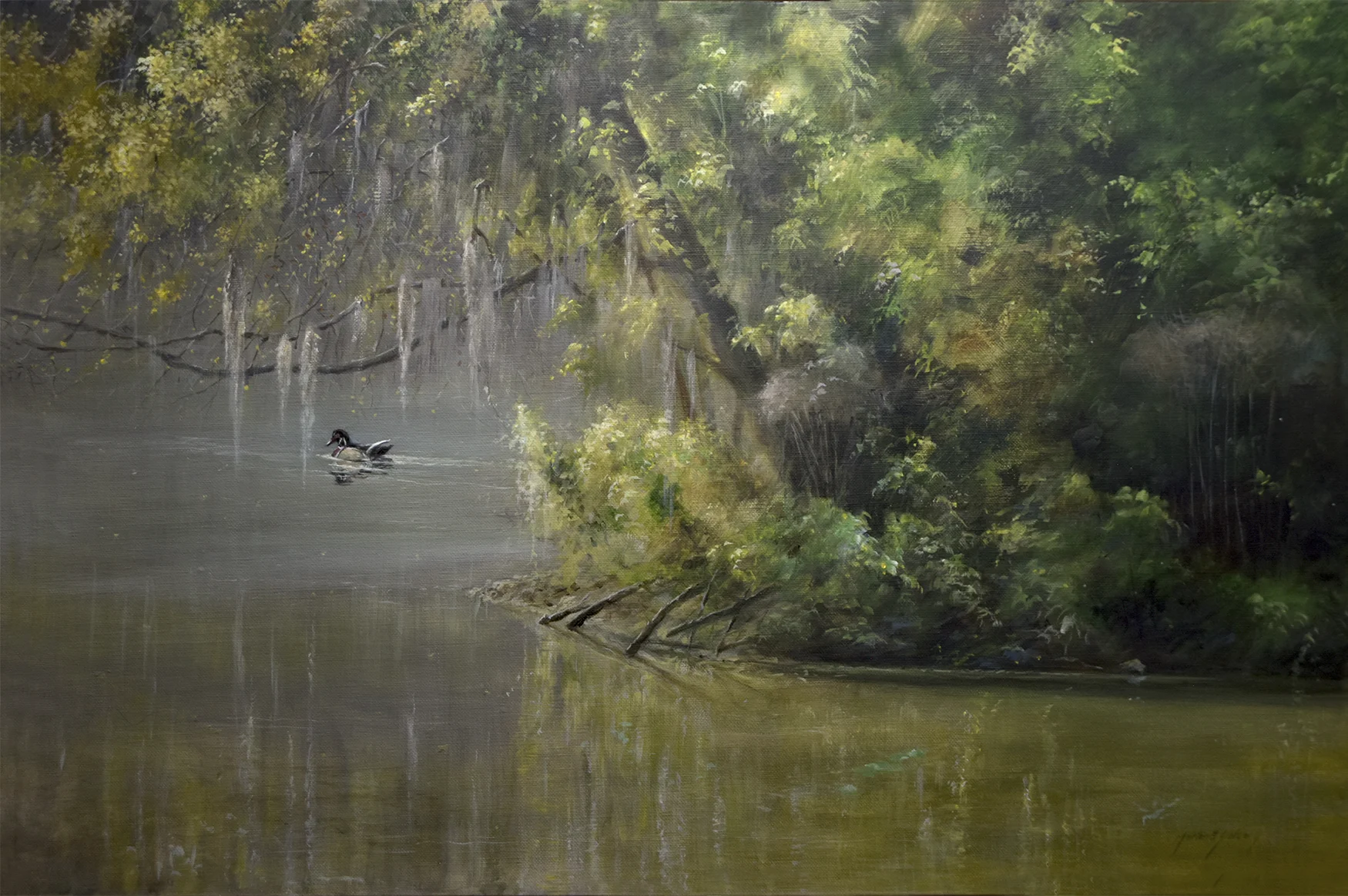 “Leisure Time” 20x30 Acrylic/ canvas “Wood Duck” • Audubon Museum Exhibition, Ohio