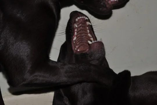 tumblr_mpwrx21TsR1rtgf8vo1_540.jpg