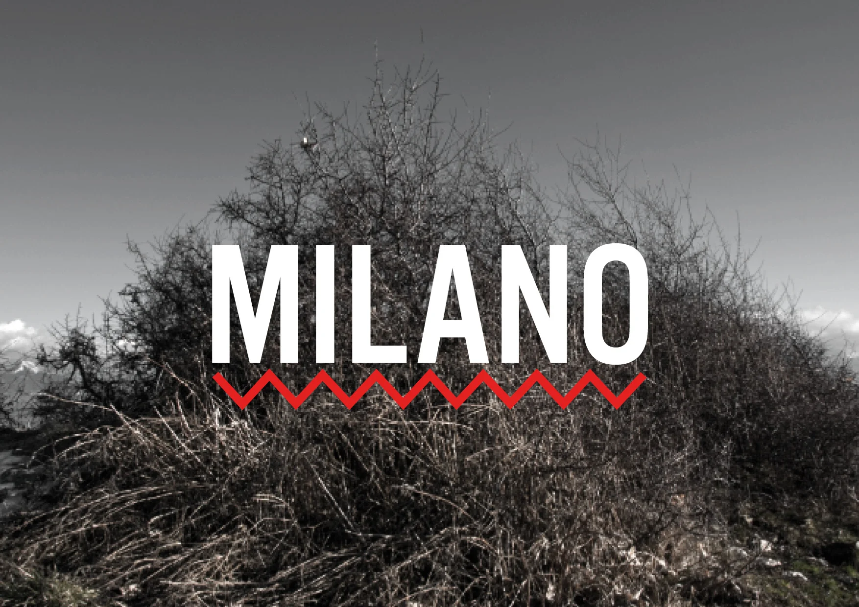 MILANO.jpg