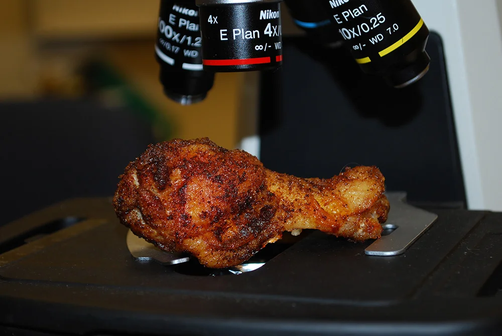 Recipe Salmonella Chicken Wings — Beyond 20 Questions