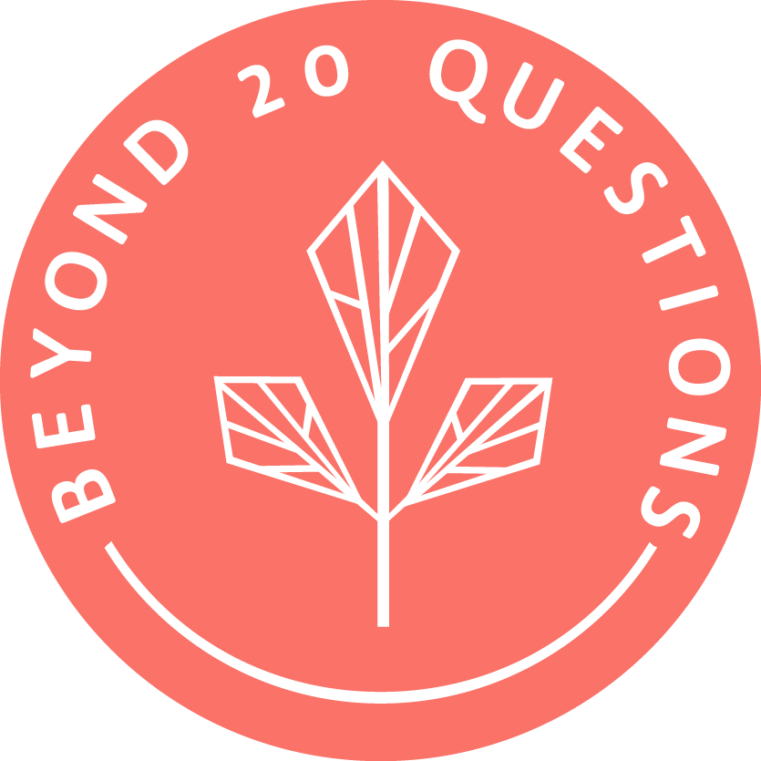 Beyond 20 Questions
