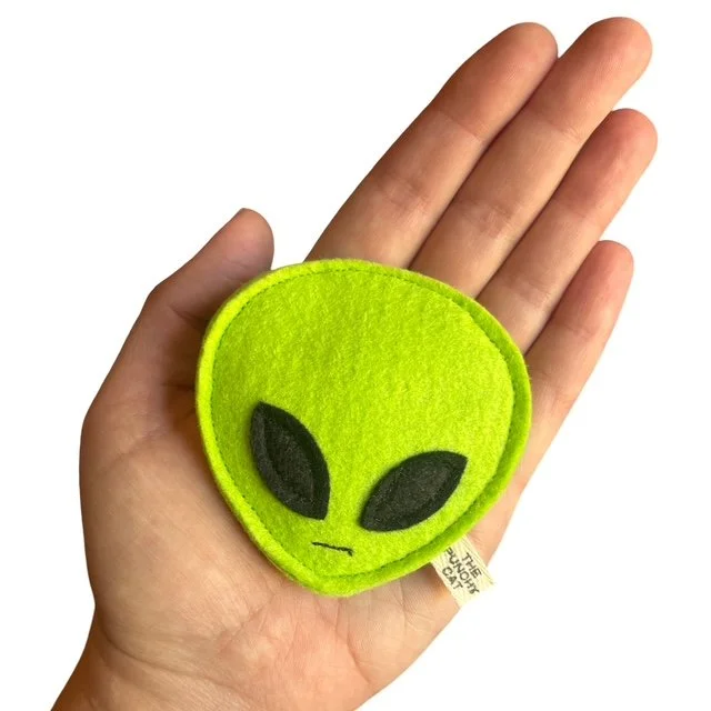 image3.jpeg