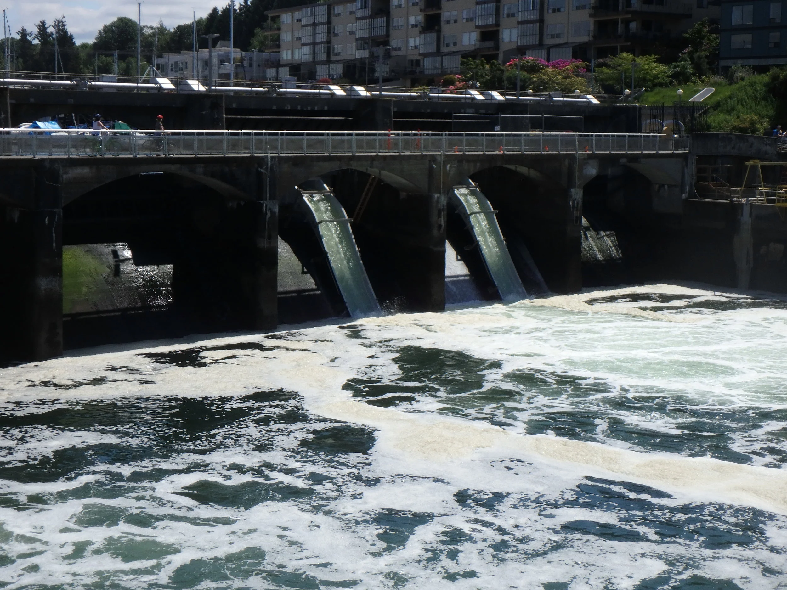 Ballard Locks Smolt Flumes