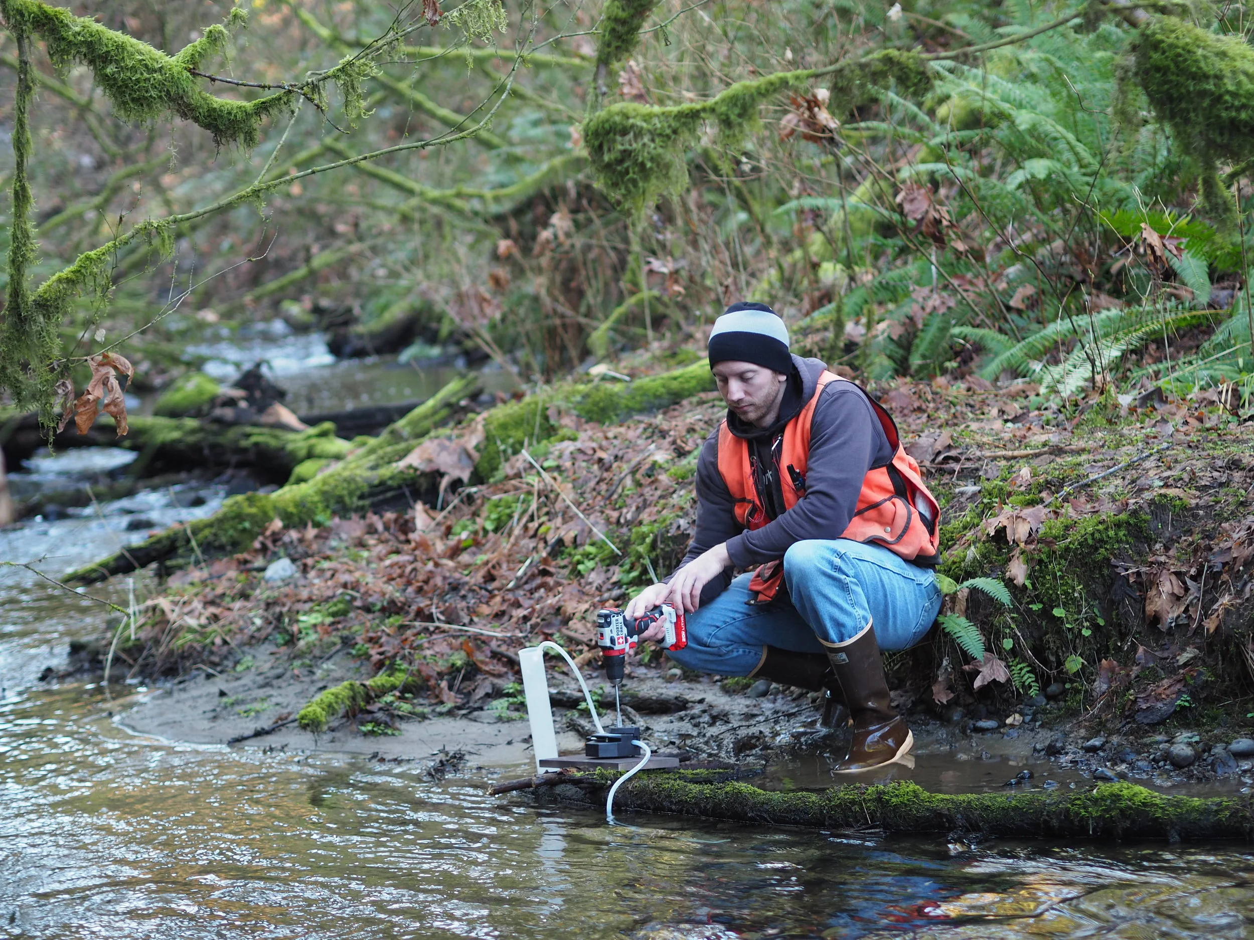 Using eDNA to Determine Fish Presence/Absence
