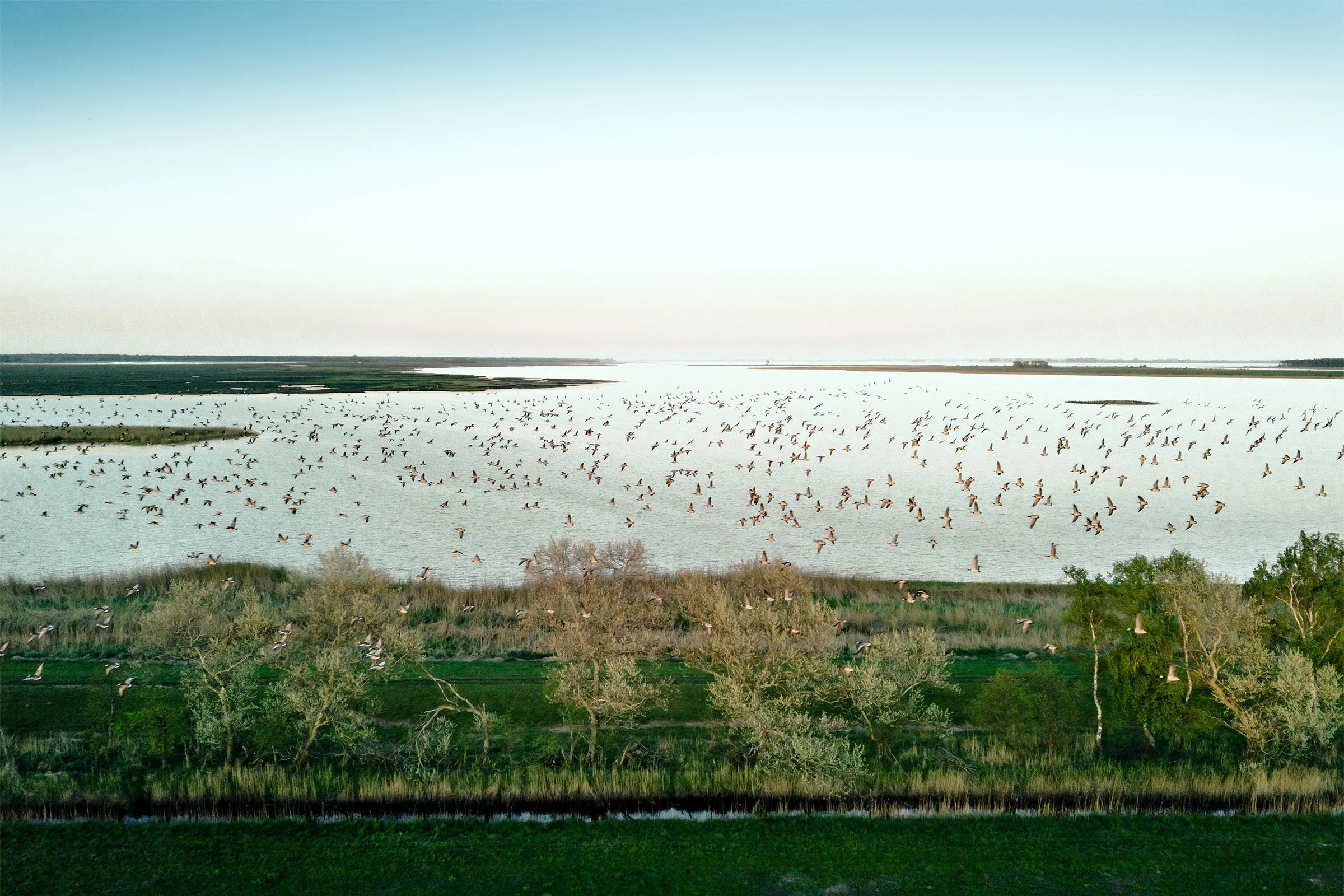birdparadies-baltic-sea.jpg