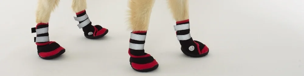 Dog-Shoes-1.jpg