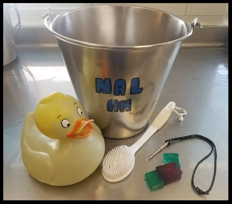 A selection of things that might be brought to a training session with a cetacean: a bucket of fish, a soft tactile brush, a favorite toy, chunks of unflavored gelatin, and a whistle for use as a bridge cue.