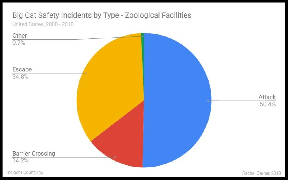 Big Cat Safety Incidents 2000 - 2018 — Why Animals Do The Thing