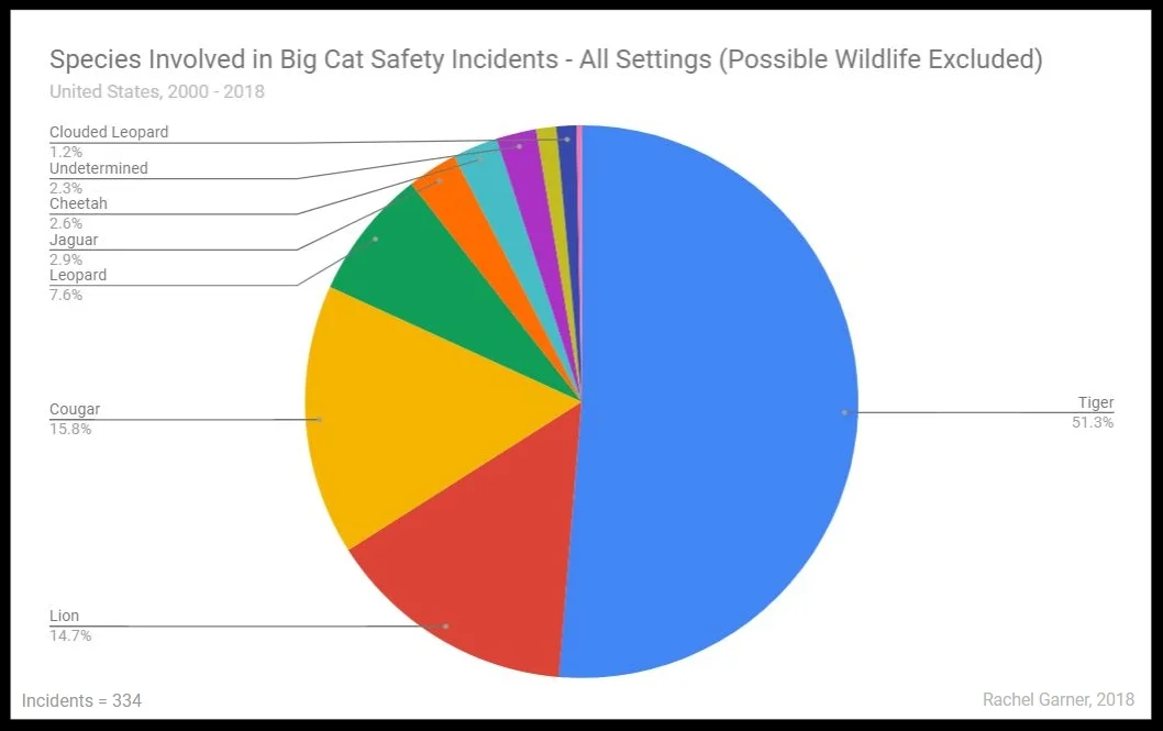 Figure 25. Species involved in Big Cat Safety Incidents - All Situations (Wildlife Removed) Click Image to See Full Size