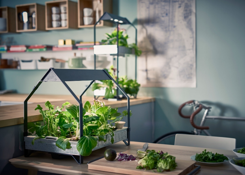 IKEA moves into indoor gardening with hydroponics