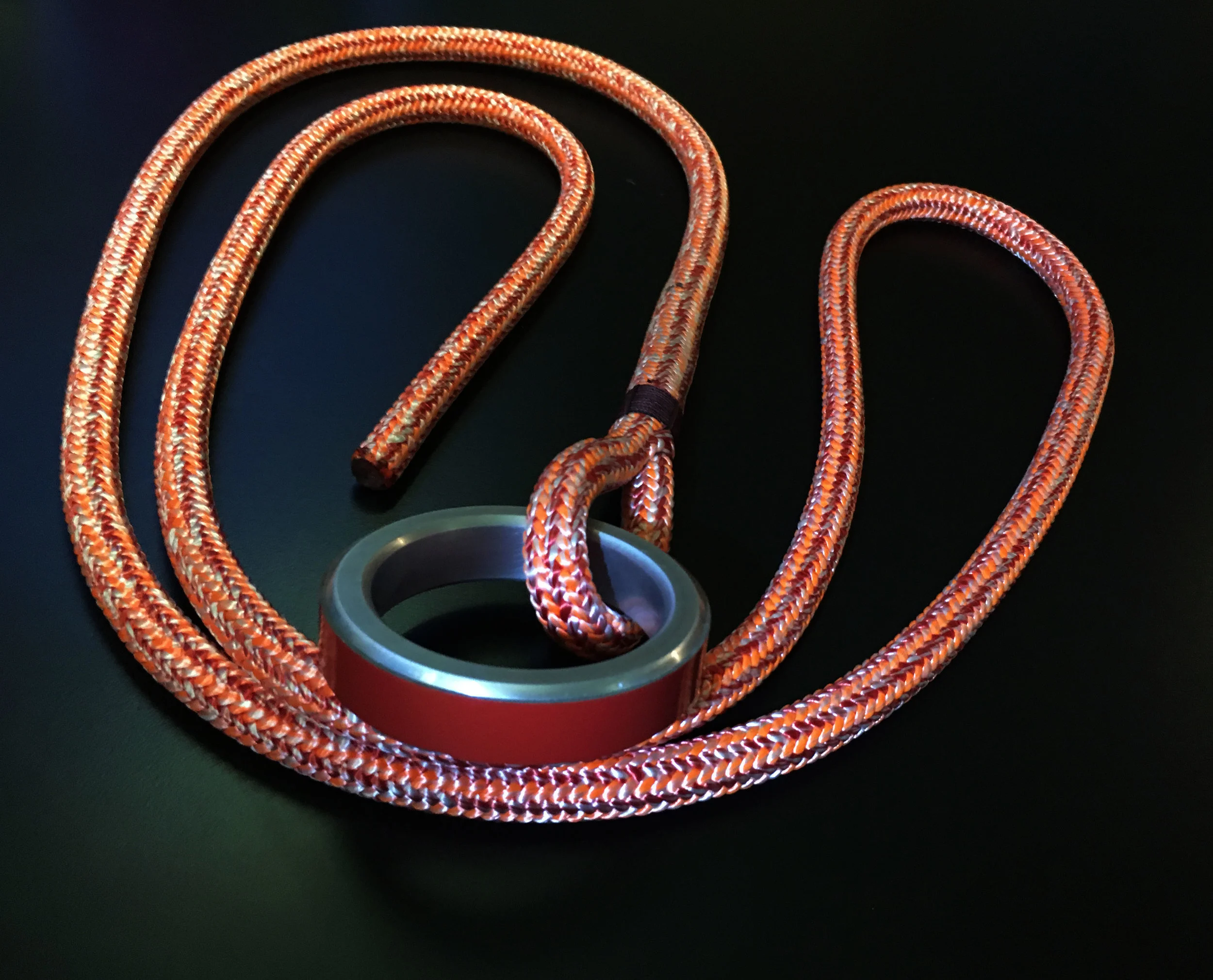 Leash-image_w.jpg