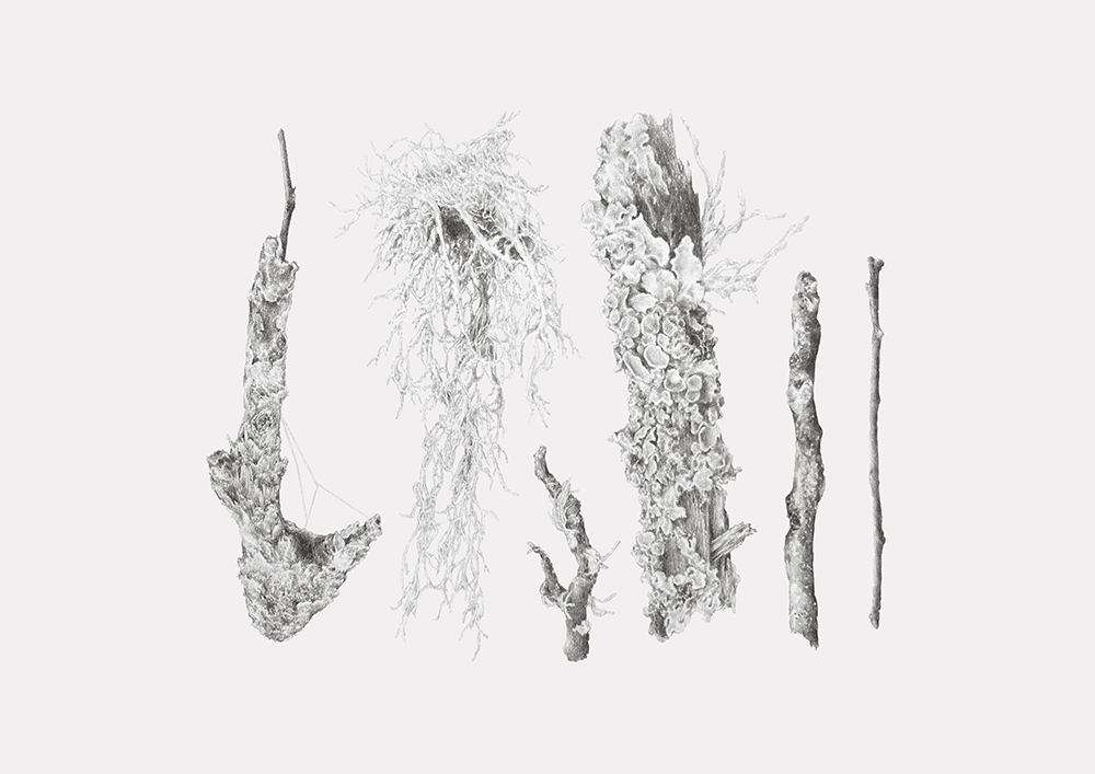 findings (print)