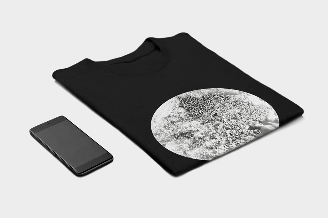 TEE.png
