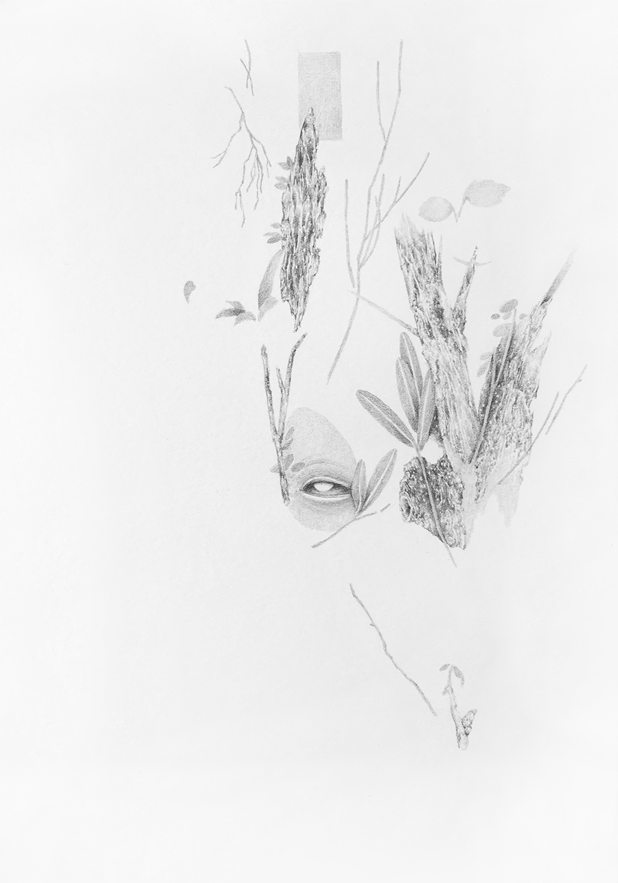 redwillow.png