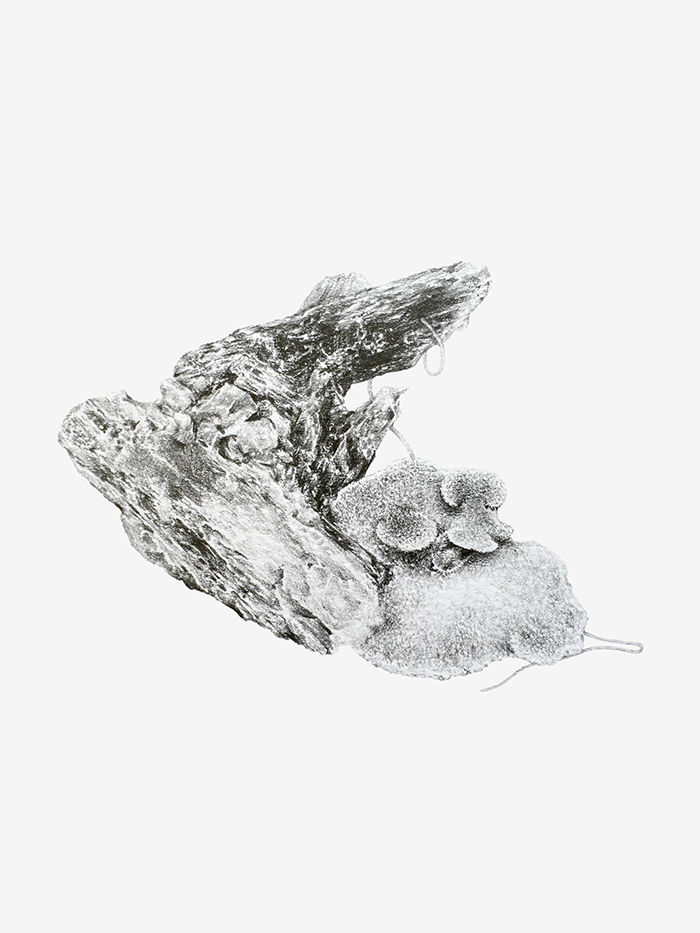image-asset (2).png