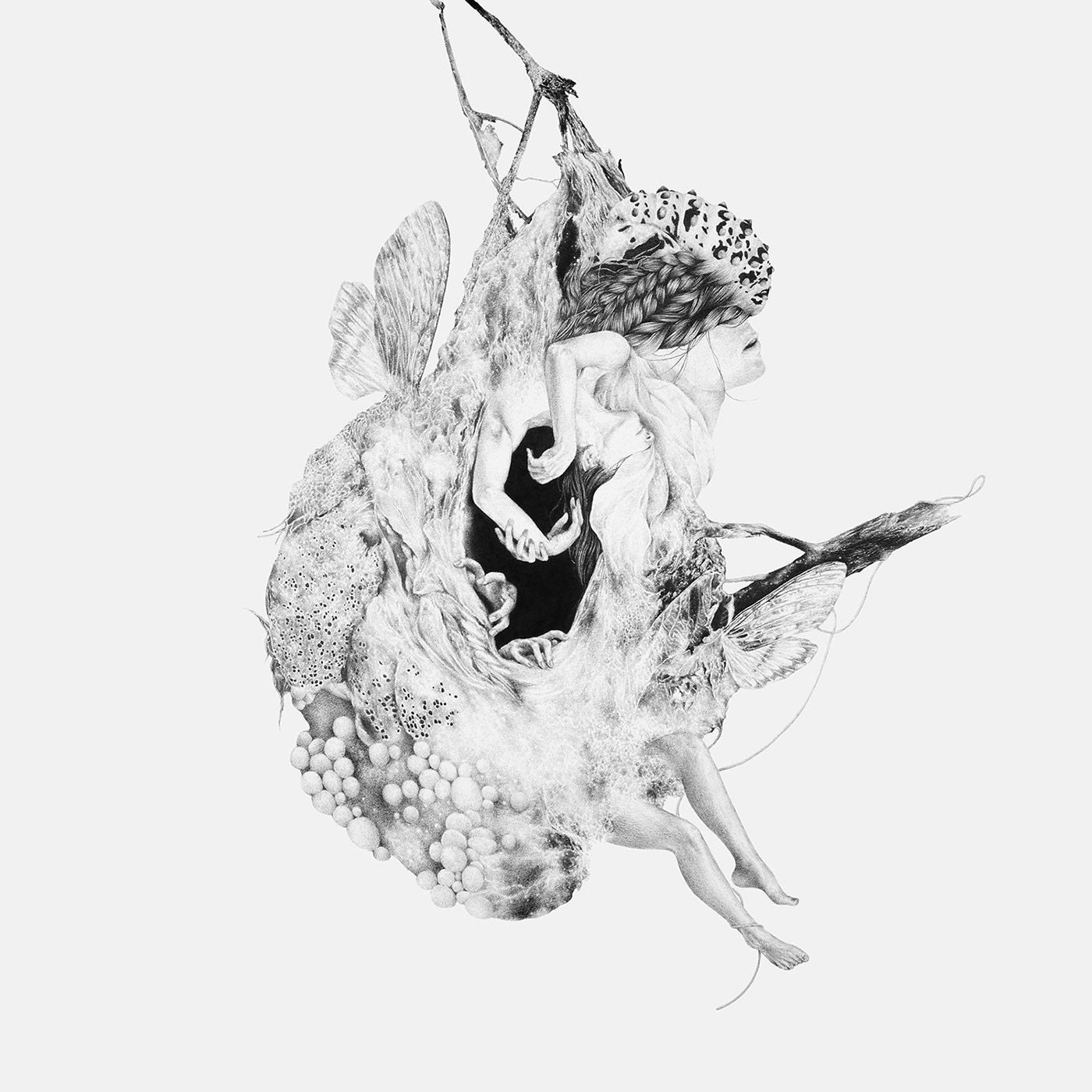 RECLUSE+GREY1400.png