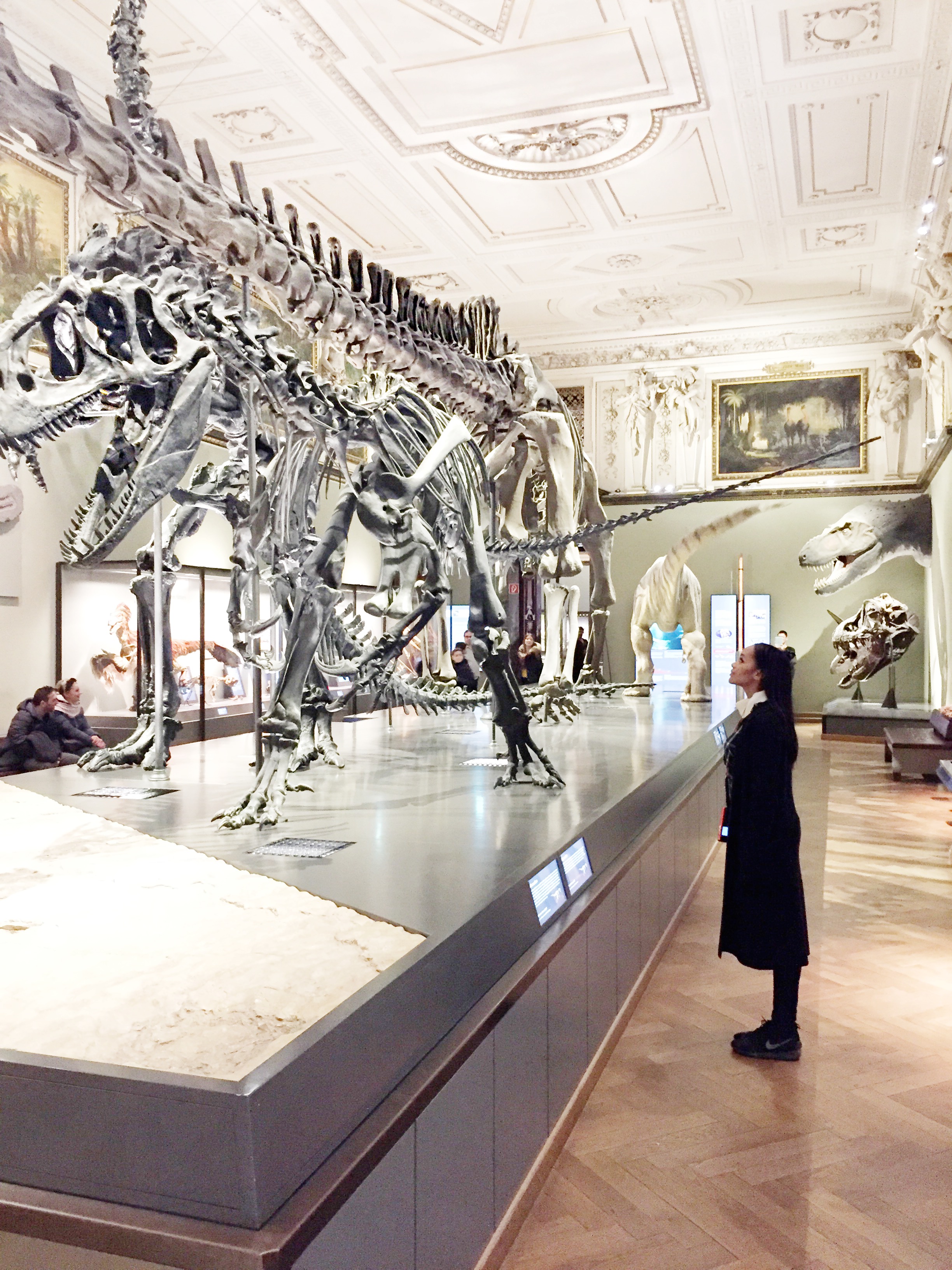 Attempting to look intelligent whilst trying to figure out what kind of dinosaur this is although its definitely written right in front of me.