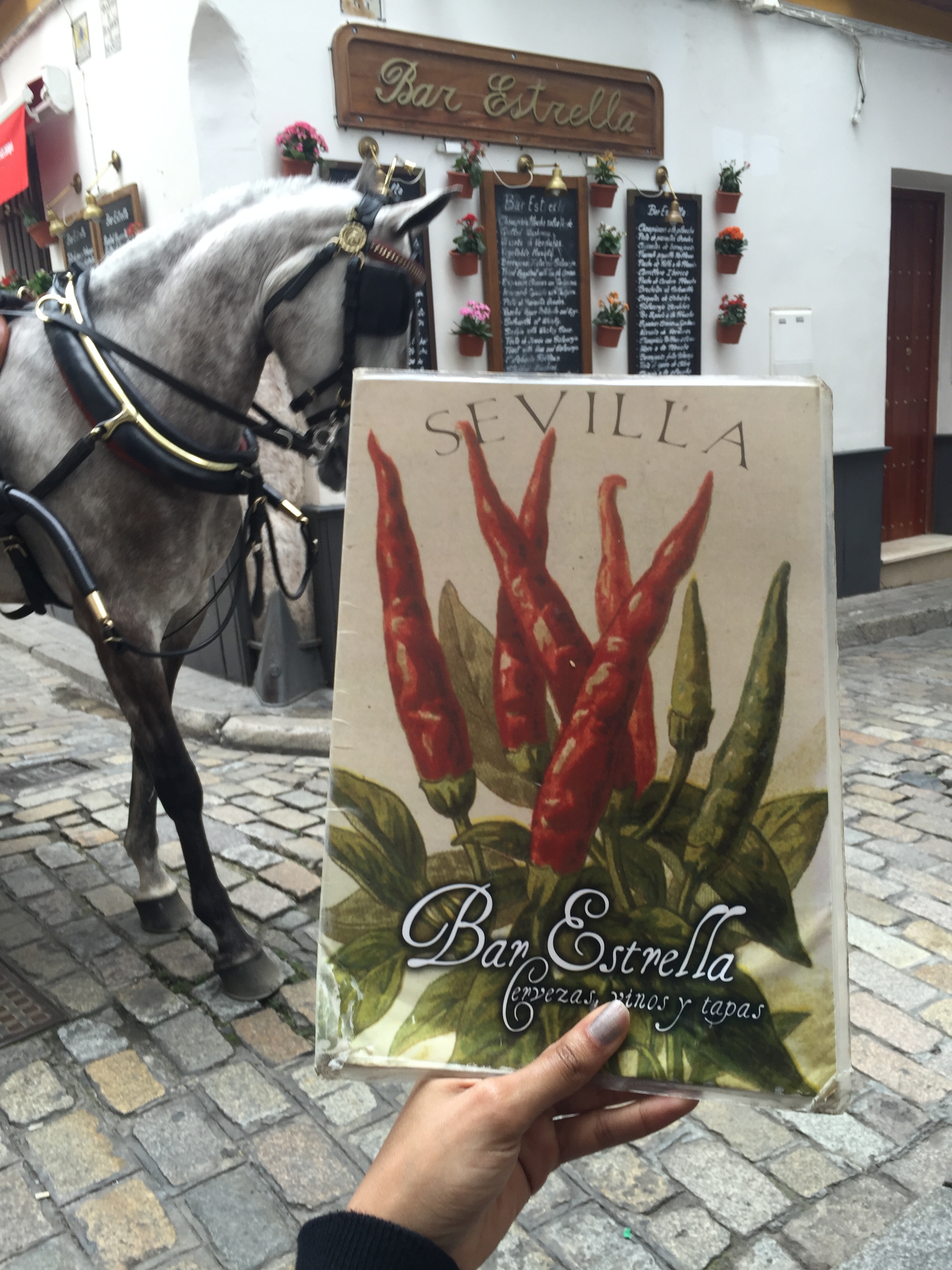 Plus, a horse and carriage rode by so hey!