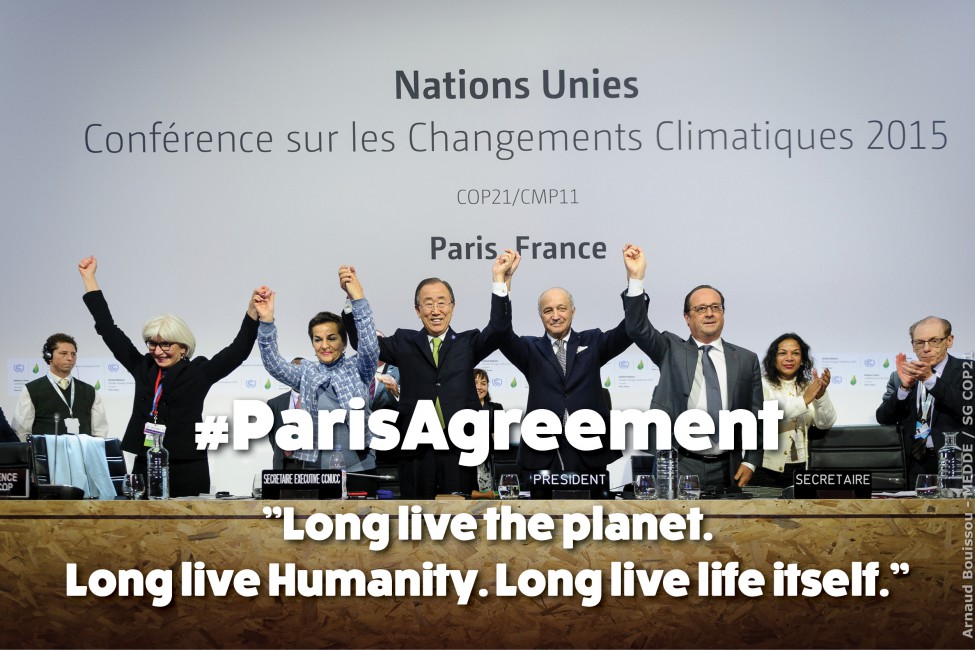 Celebrations over the climate change negotiations 