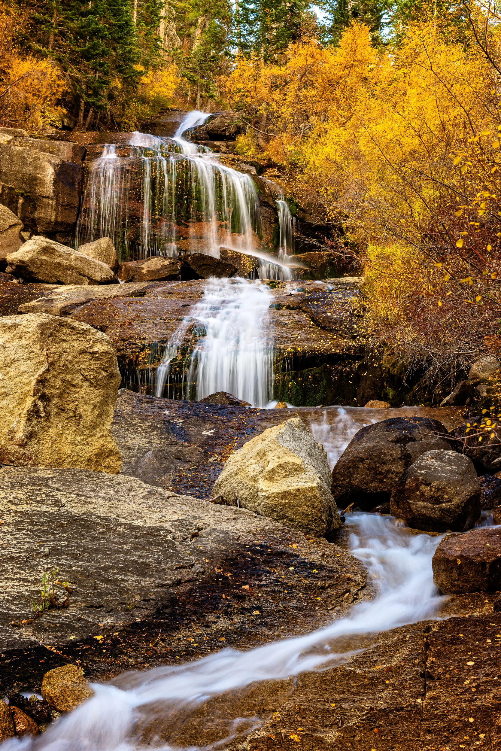 Aspen-Lined Waterfalls