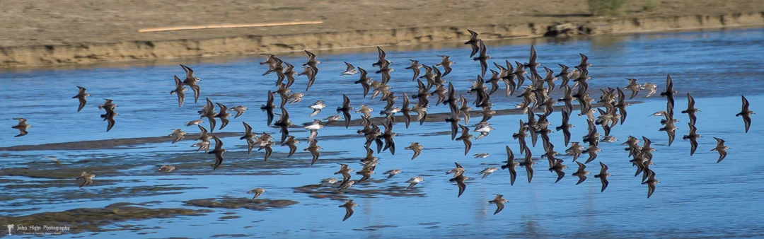 Low flying Formation