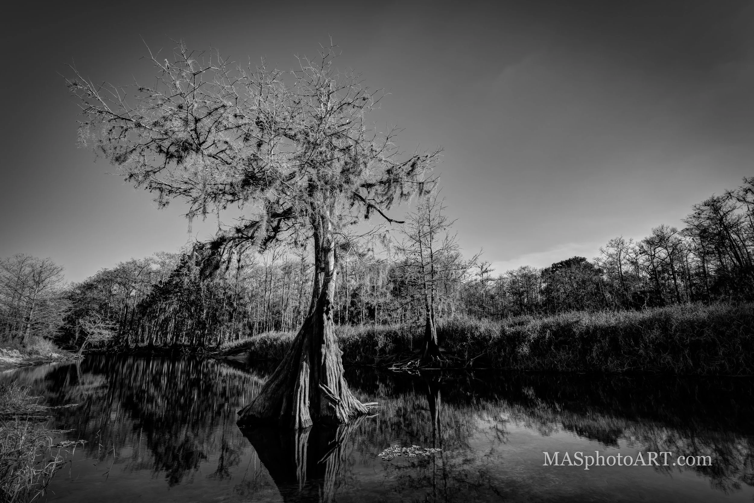 Fisheating Creek WMA