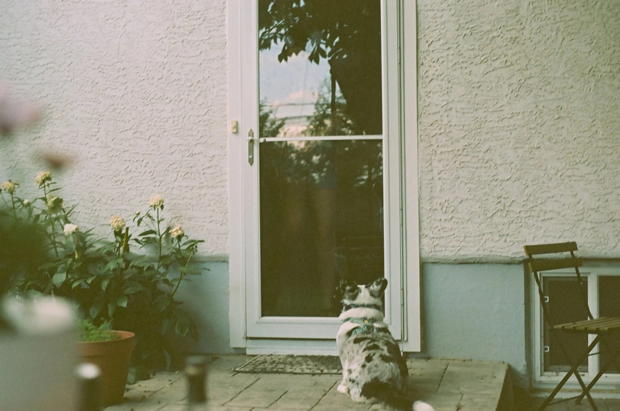Pichi & Katelyn (Olympus OM-2)