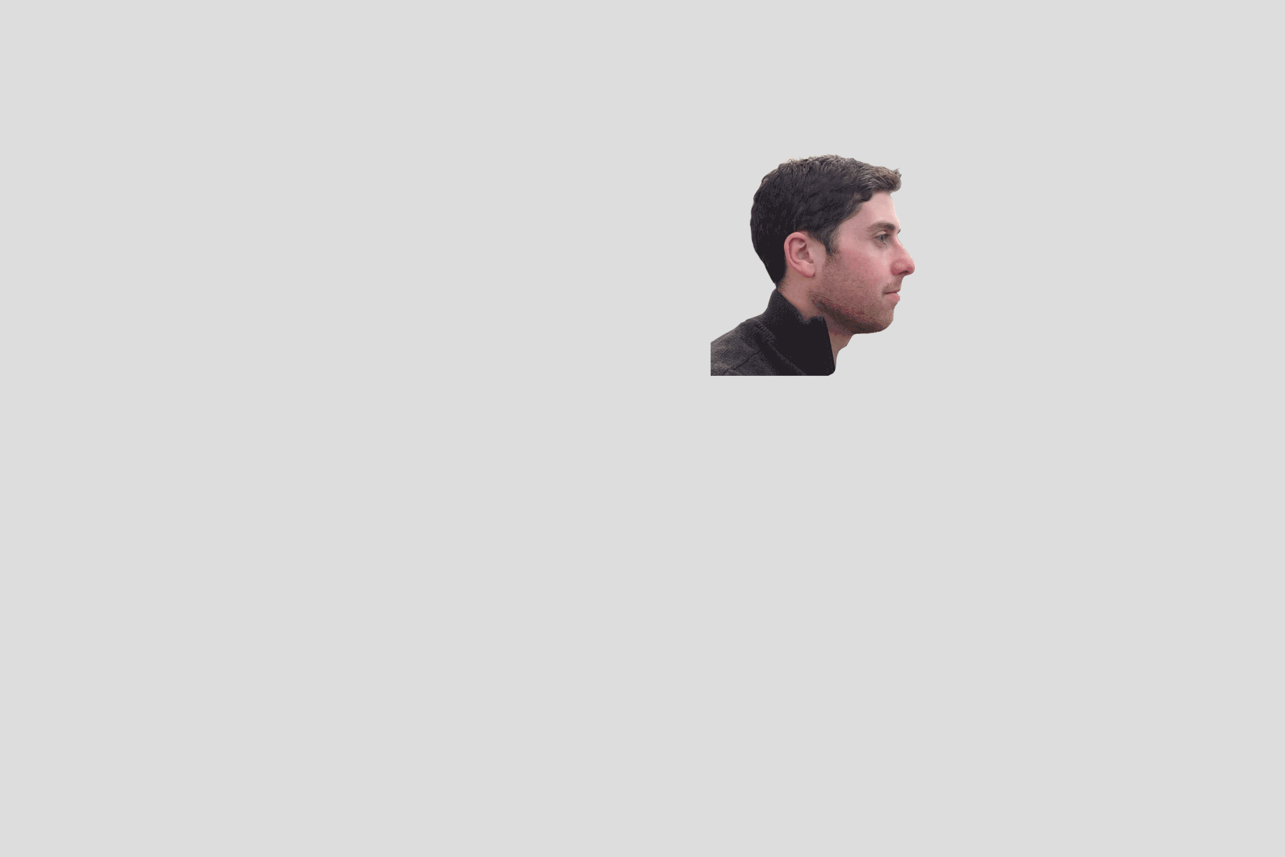 The Profile Collection 