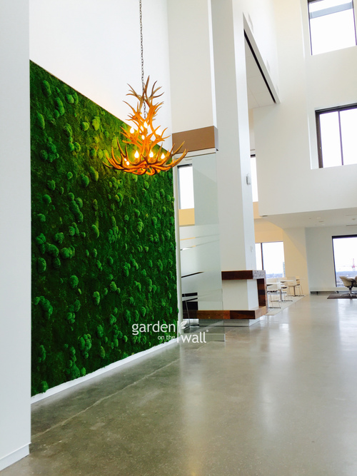 Created from all natural preserved plants, this custom garden installation is long lasting and maintenance free!! It requires no water, misting or irrigation, no sunlight and no soil, but retains a vibrant, fresh-cut look for up to 10 years! http://www.gardenonthewall.com