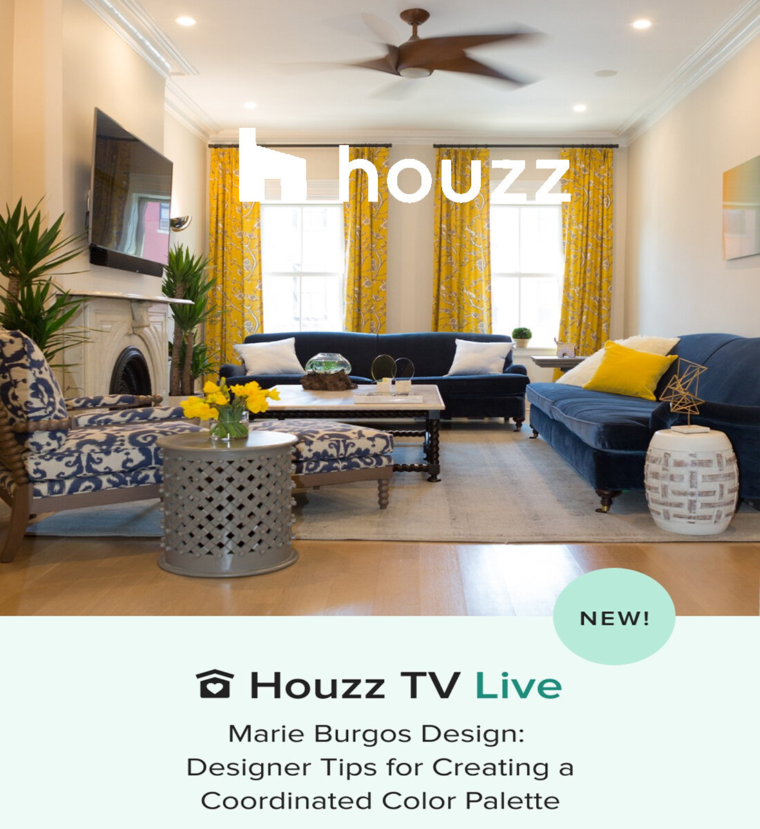 MBD. Houzz tv (Copy)