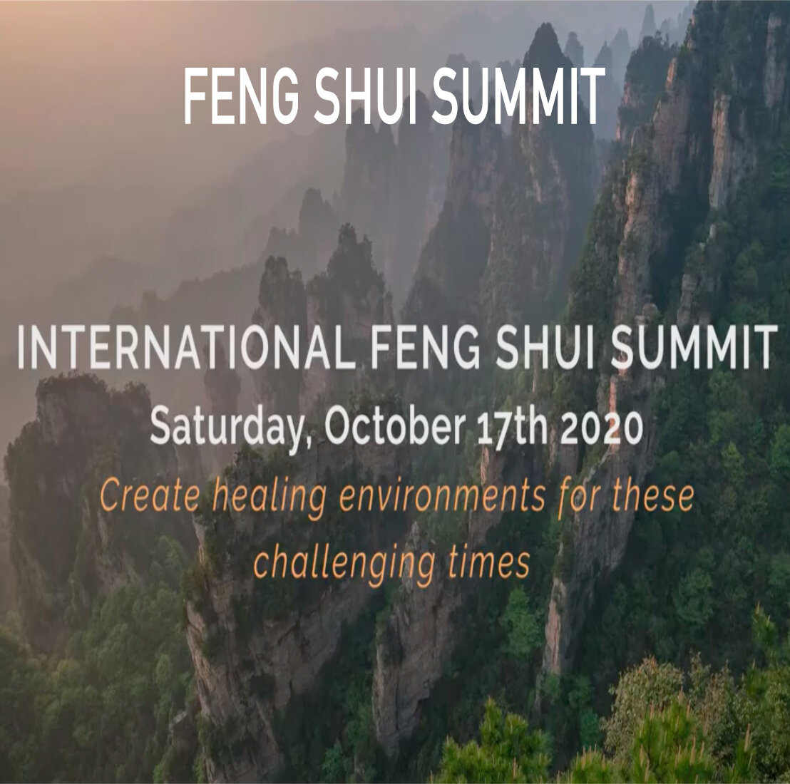 MBD. The International Feng Shui Summit (Copy)