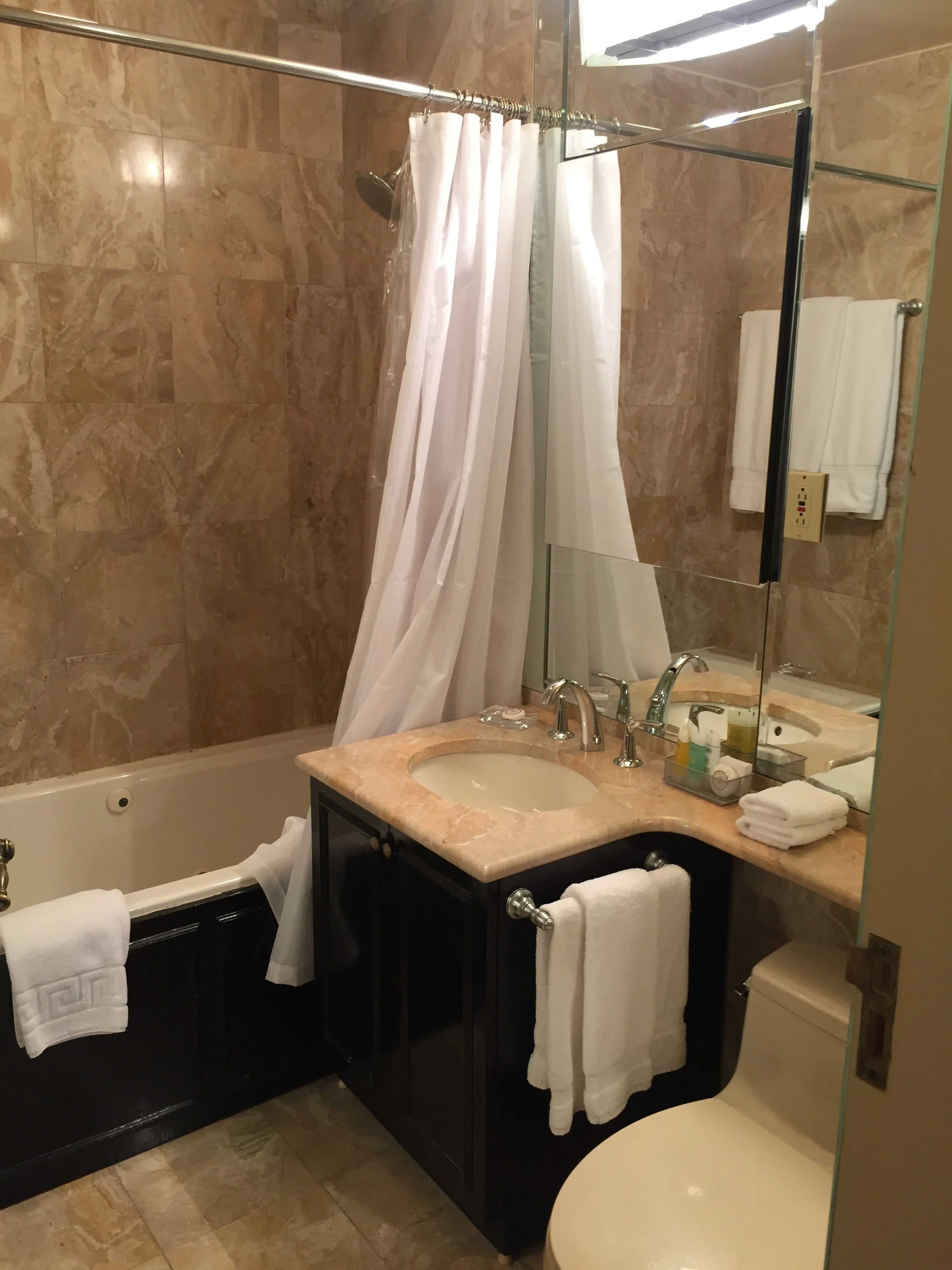 Before photo Master Bathroom.JPG