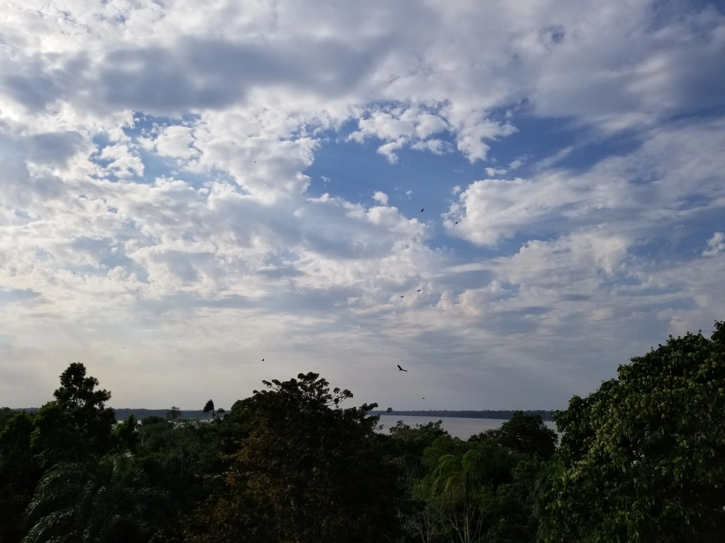20190804_075946.jpg