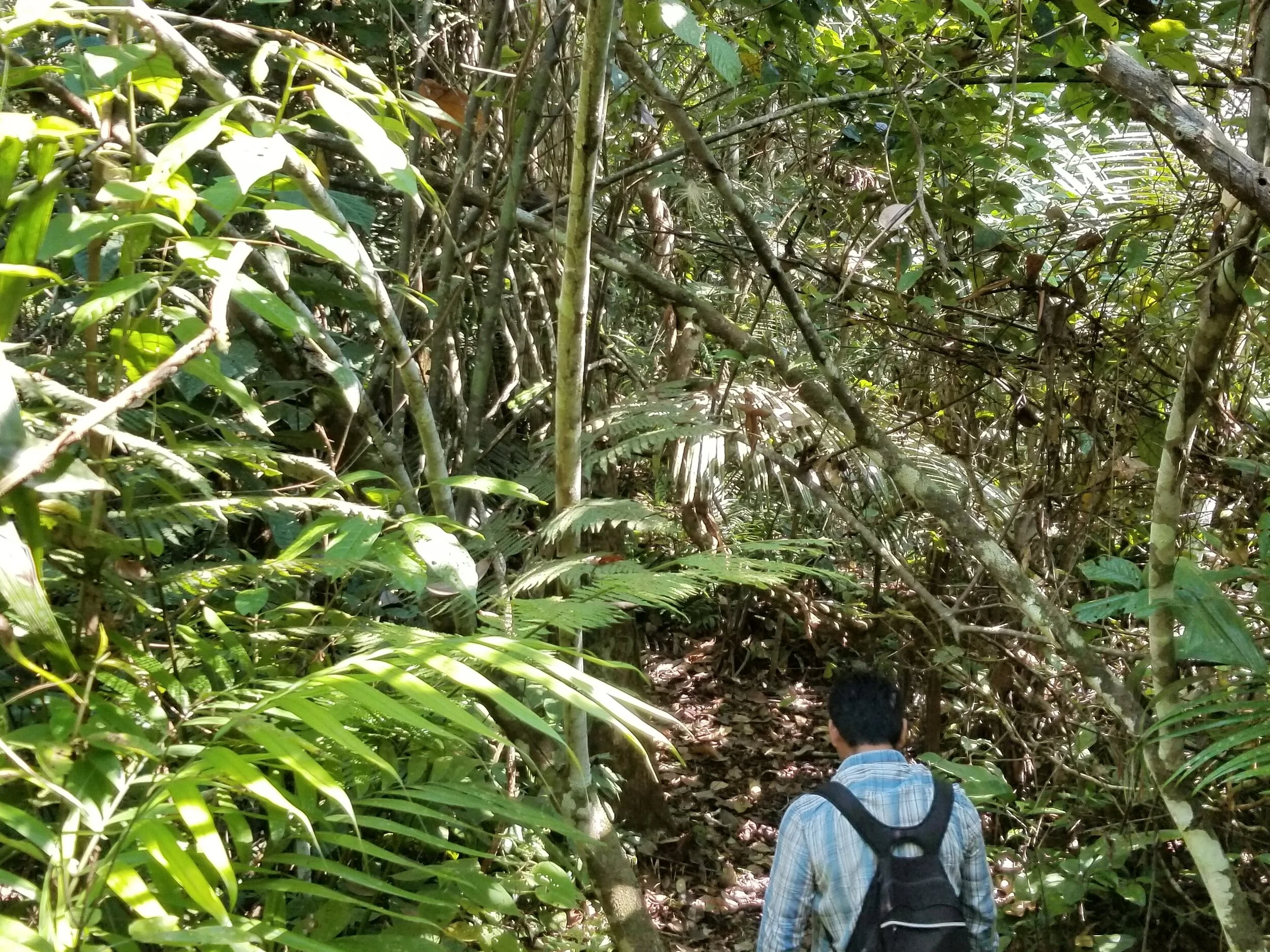 20190805_103206.jpg