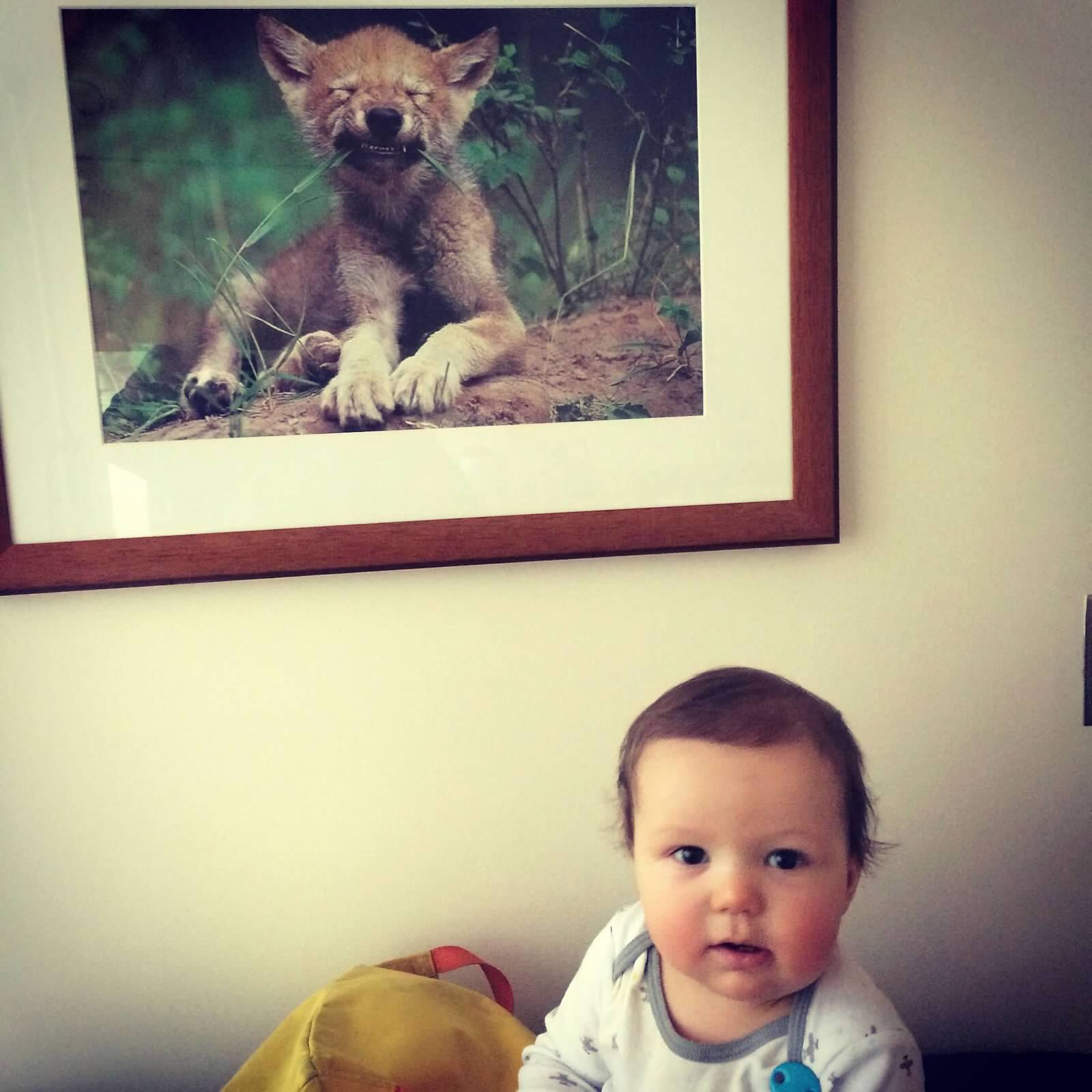 Luka in his favorite patient room in the clinic, waiting for labs