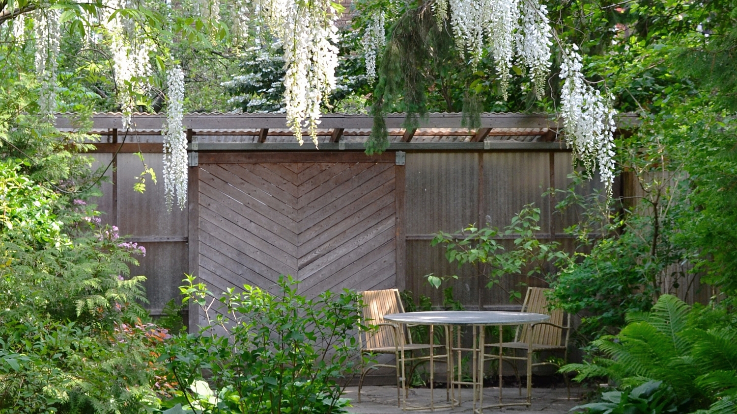 Withrow thumbnail.JPG