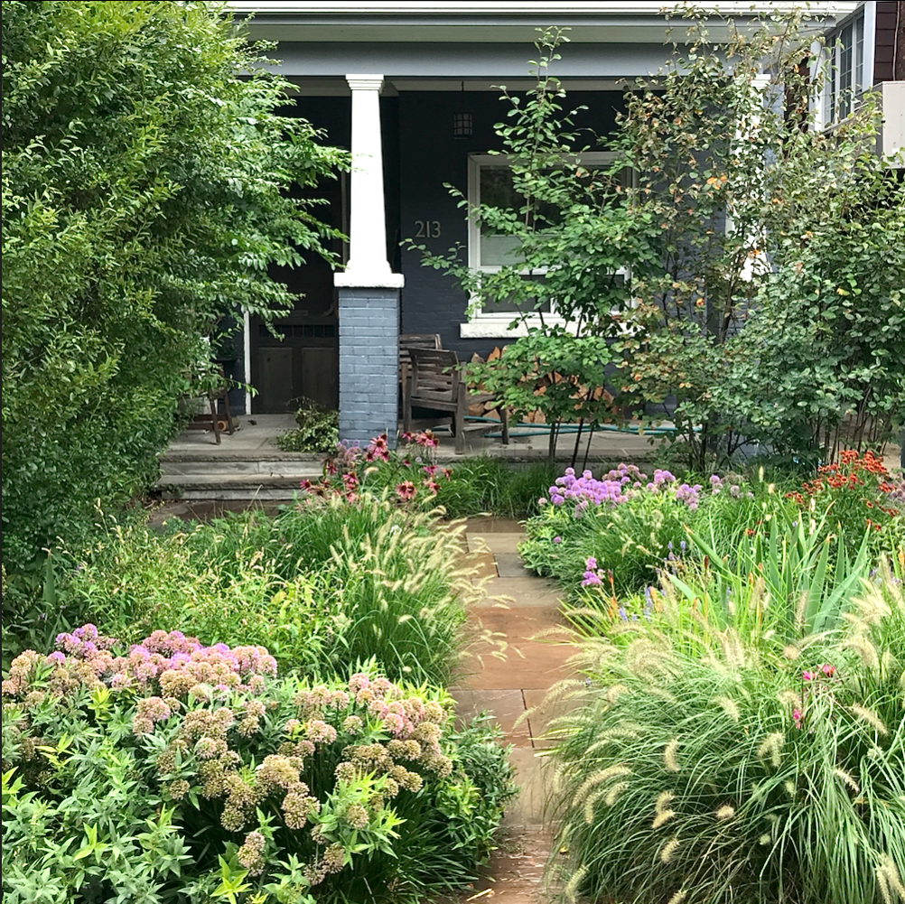 Screen Shot 2023-02-08 at 4.29.24 PM.png